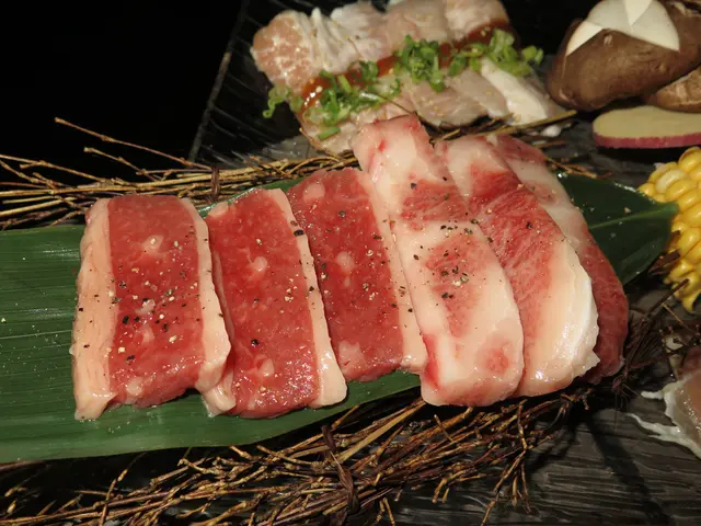 肥到肥豬肉咁的和牛，肥肉全是筋