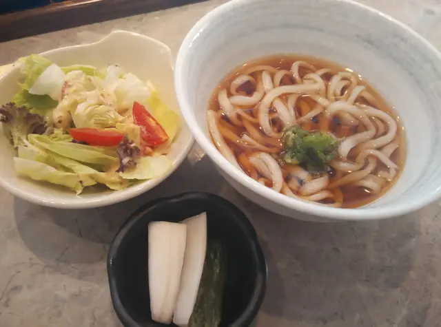 定食有烏冬，前菜及沙律