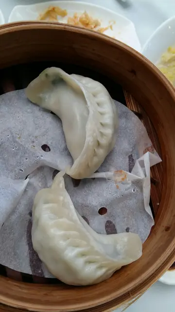 素菜饺