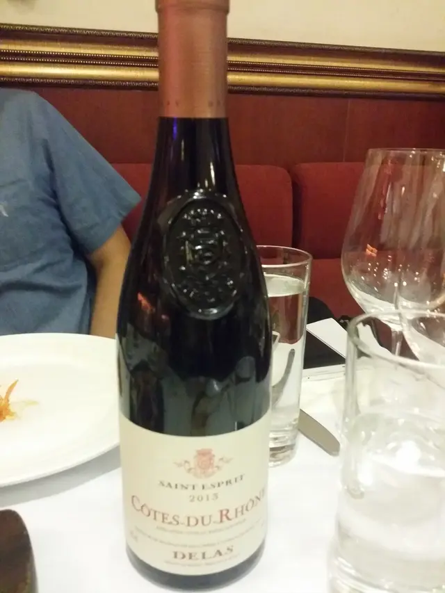 Delas Cotes du Rhone Rouge,France 2013