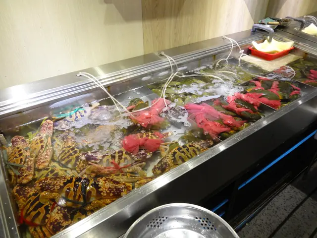 食客亦可於點海鮮之前，先到海鮮區，挑選新鮮生猛的海鮮！
