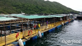 Kau Sai Wan Fishing