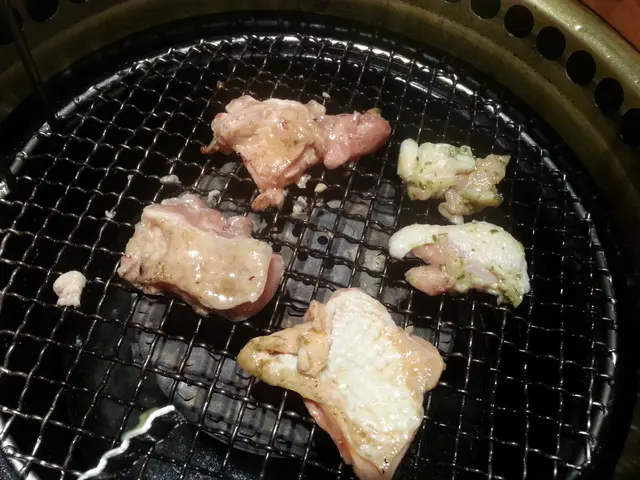 十二星座8色燒肉--雞肉