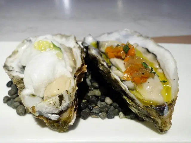 Giant Spanish Oysters Duo Foam