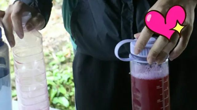 自家製紫貝天葵茶