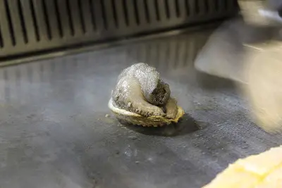 南非活鮑魚