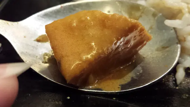 馬來咖哩野菌豬扒飯
