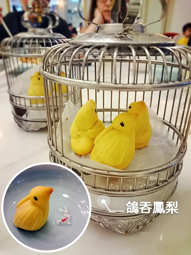 鴿吞鳳梨