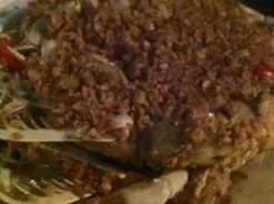 椒盐斑马濑尿虾