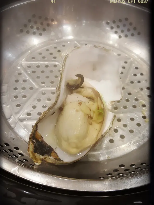美國石蠔