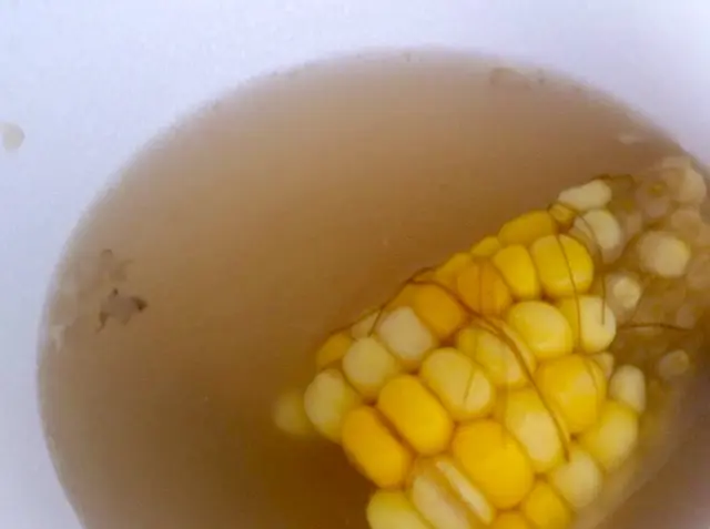 是日例湯