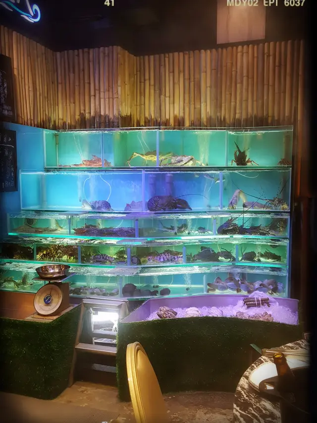魚缸