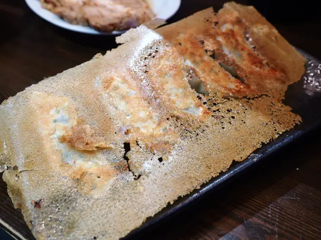 羽根燒餃子