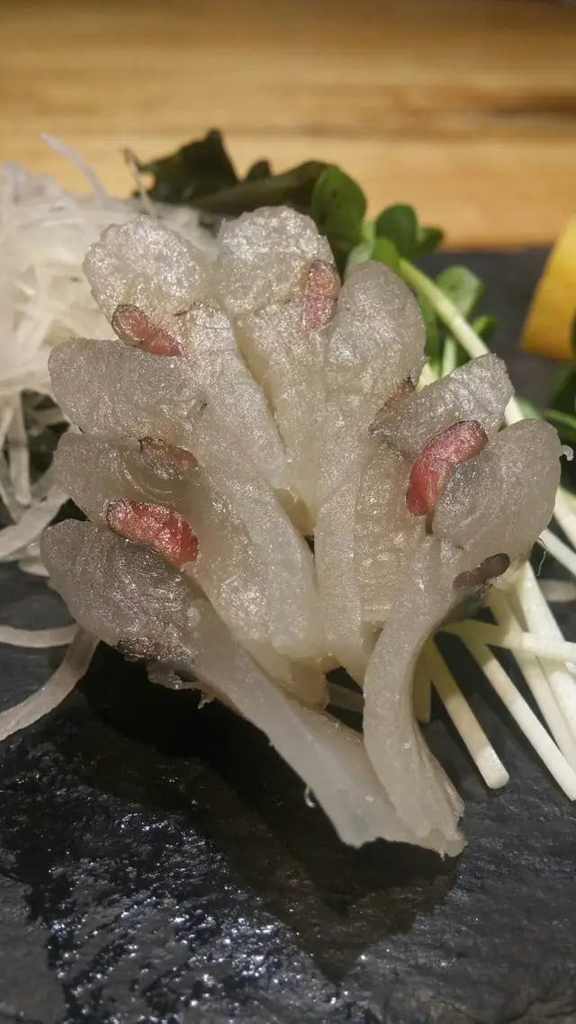 針魚