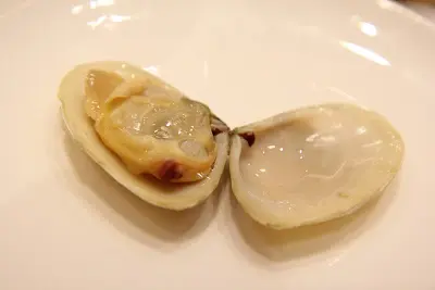 清蒸紐西蘭刀貝