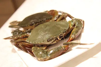清蒸本灣奄仔蟹