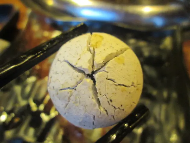 即是黑芝麻湯圓, 真的不懂欣賞