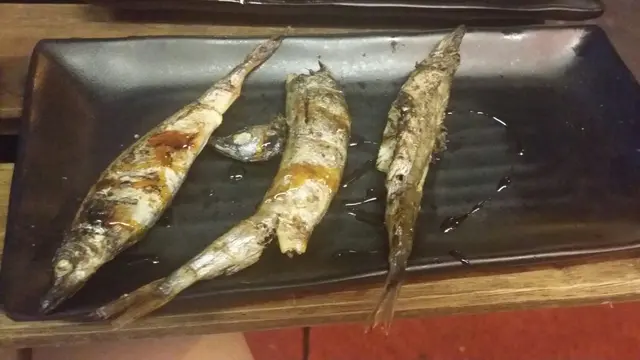 多春魚