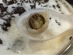 椰明珠