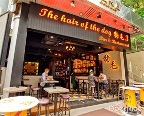 The Hair Of The Dog Bar & Restaurant