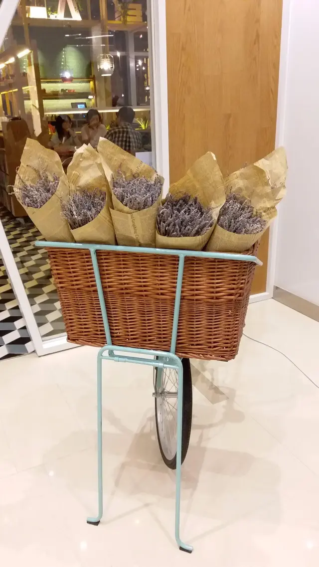 裝滿薰衣草在車籃的單車