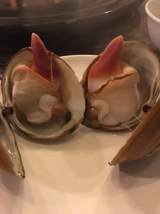 鑽石蜆