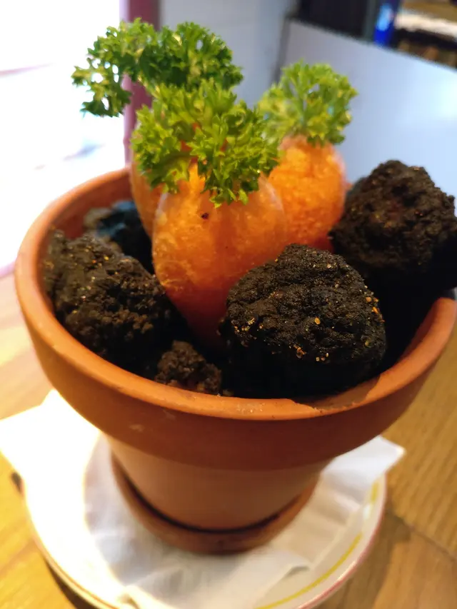 紅蘿蔔花盆