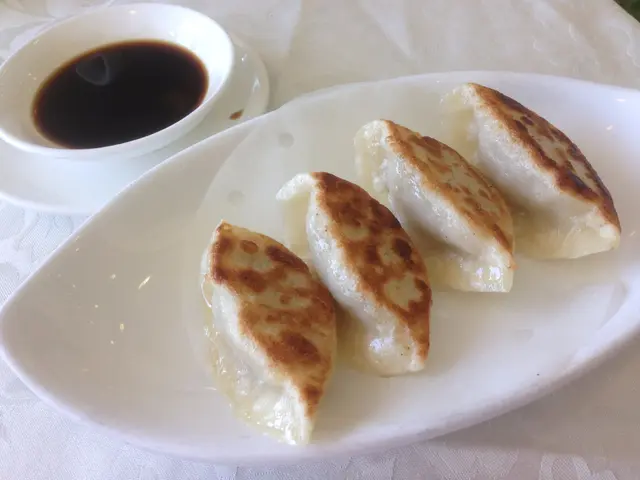 素鍋貼