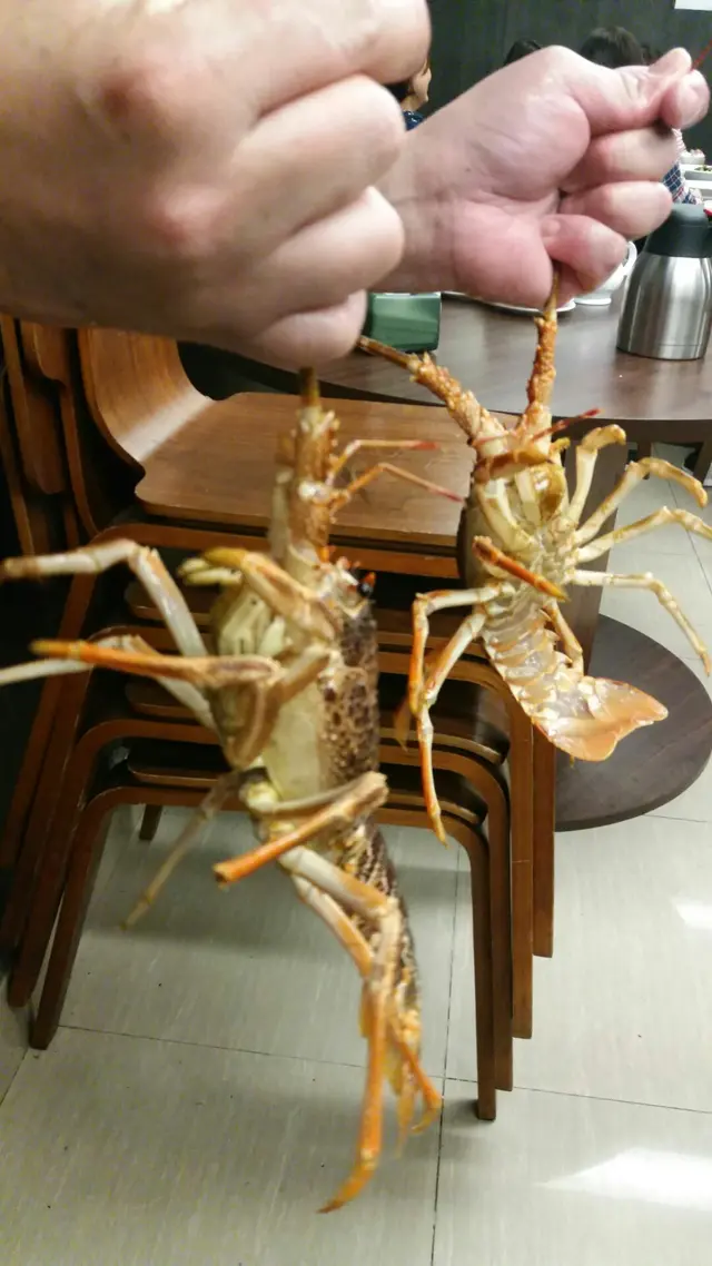 龍蝦非常新鮮，隻隻都紥紥跳