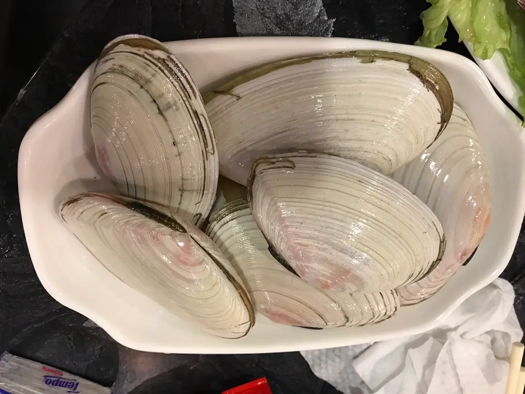 赞好             赞好             赞好           纽西兰刀贝 $