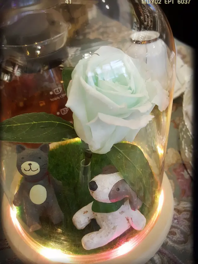 自製永生花玻璃瓶