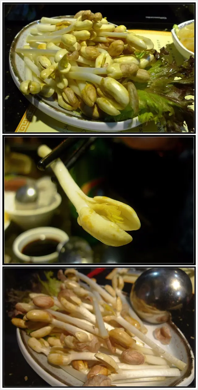 有機花生苗芽(水種)