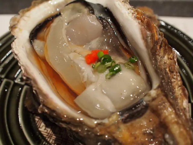 天嶺岩蠔(春季限定)