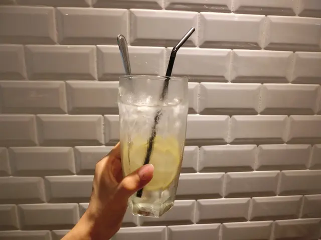 檸檬有氣梳打水