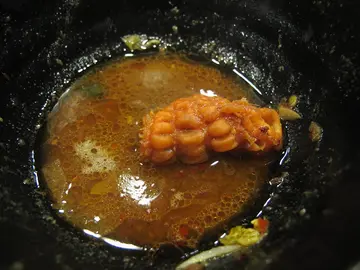 加拿大A級珊瑚蚌