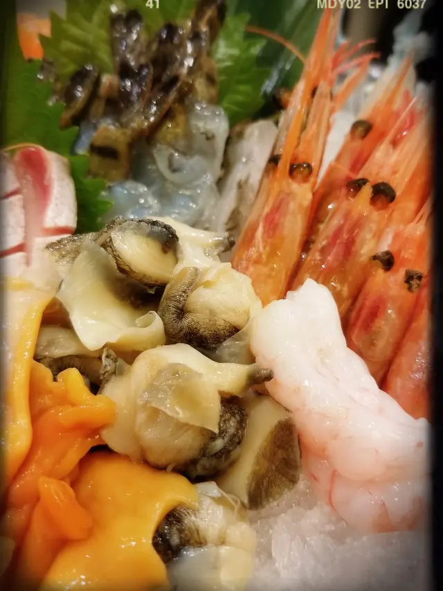 北海道角螺刺身