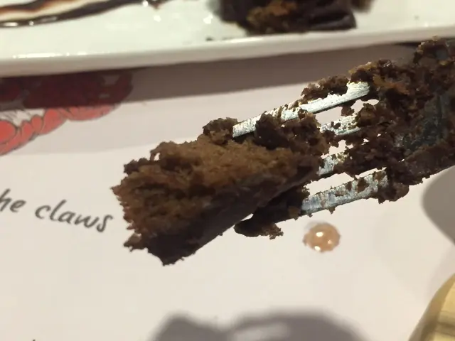 朱古力慕絲蛋糕可可味濃，略帶回甘，海綿蛋糕層不濕，具彈性