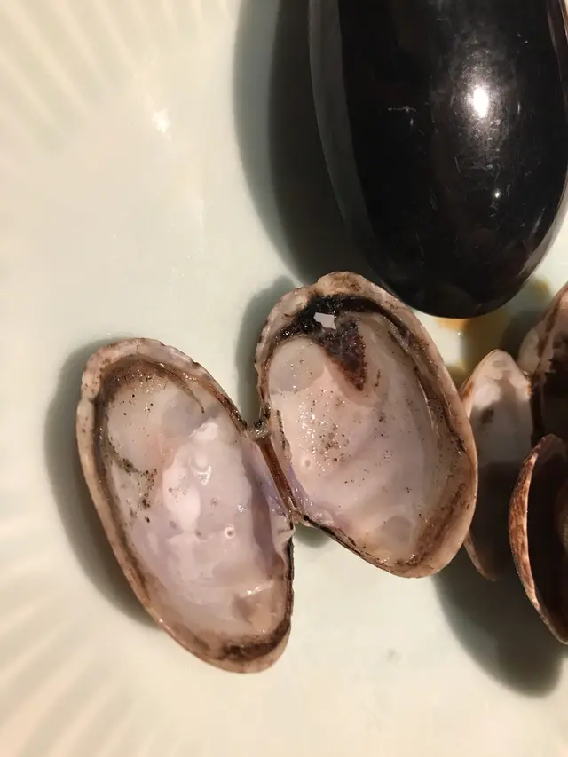 勁多沙