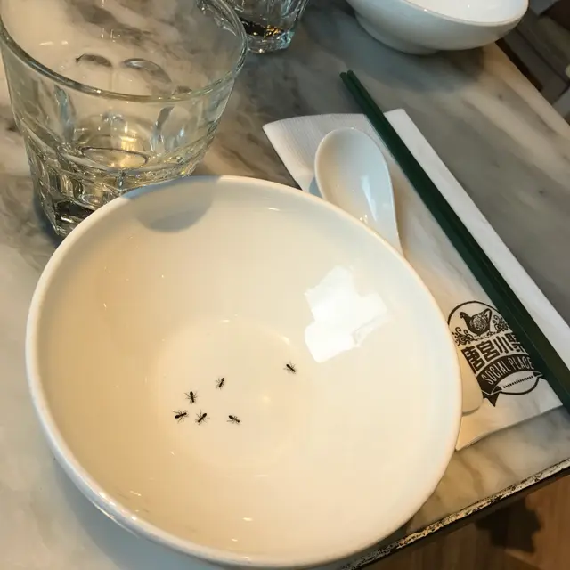 餐具特色🤣遠睇眞係嚇咗嚇