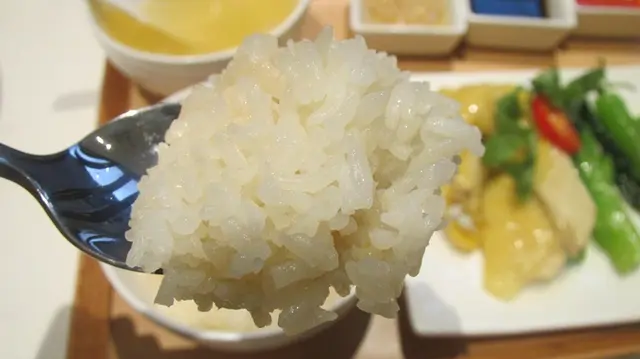 米飯帶有雞油香,但吃落沒有油膩感