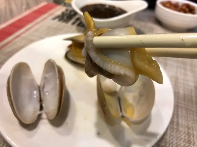  貝殼盛盆