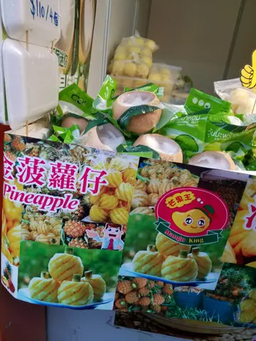 椰皇