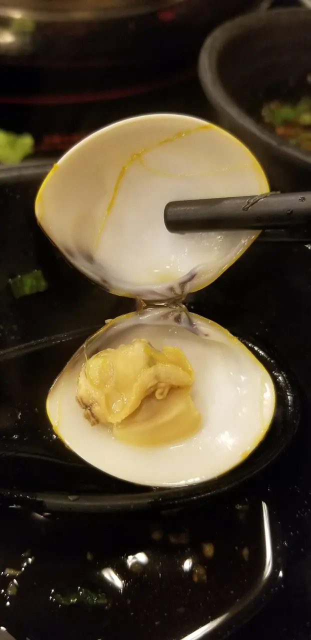 沙白