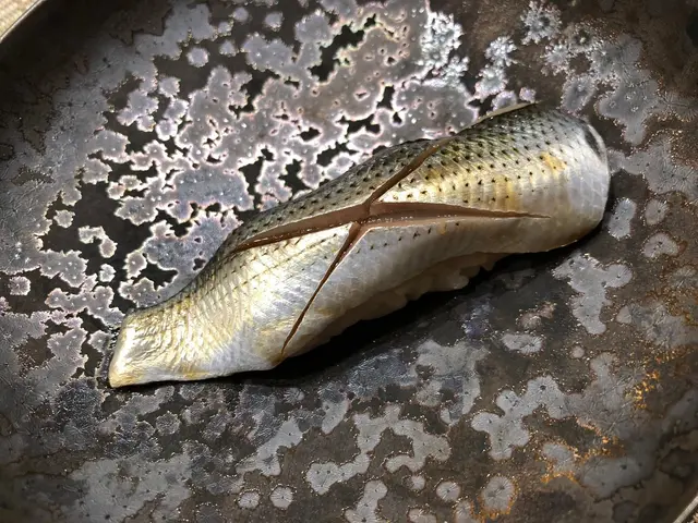 醋漬小肌魚壽司