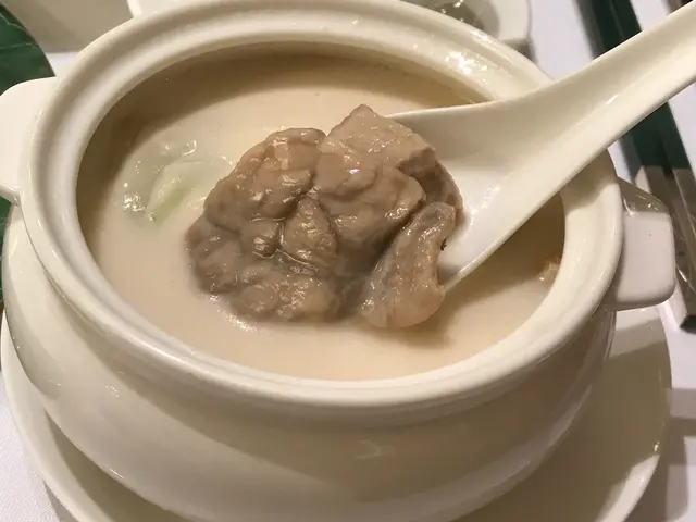 杏汁燉白肺湯