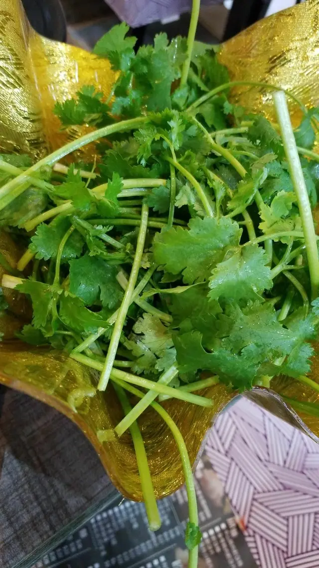 纯想加湯底香味