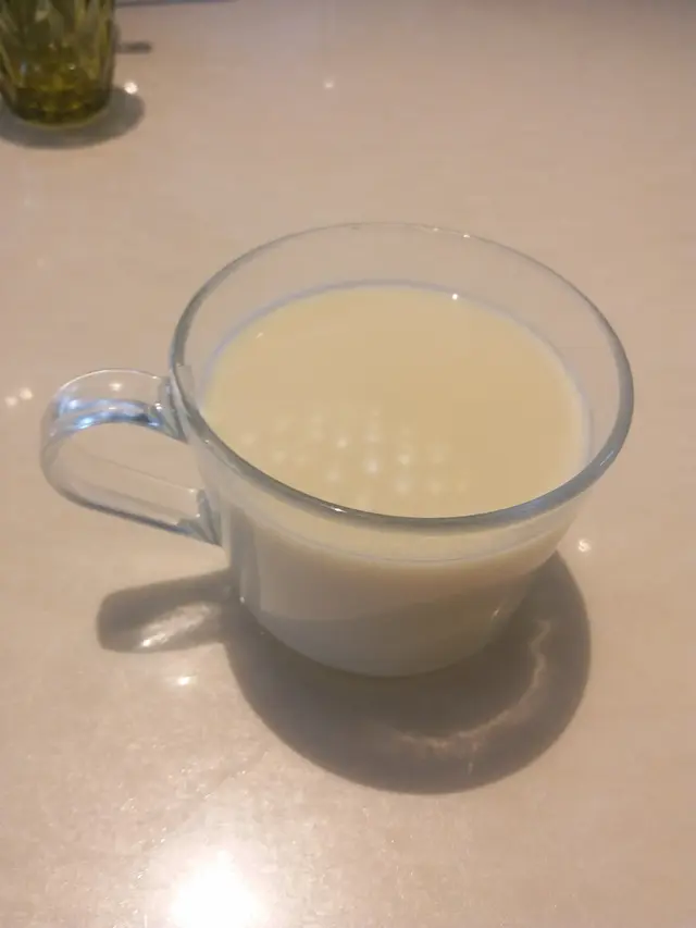 自製有機燈膽豆漿
