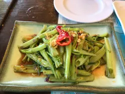 馬拉盞通菜