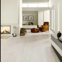 伊沙貝拉