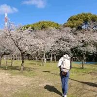麻糬